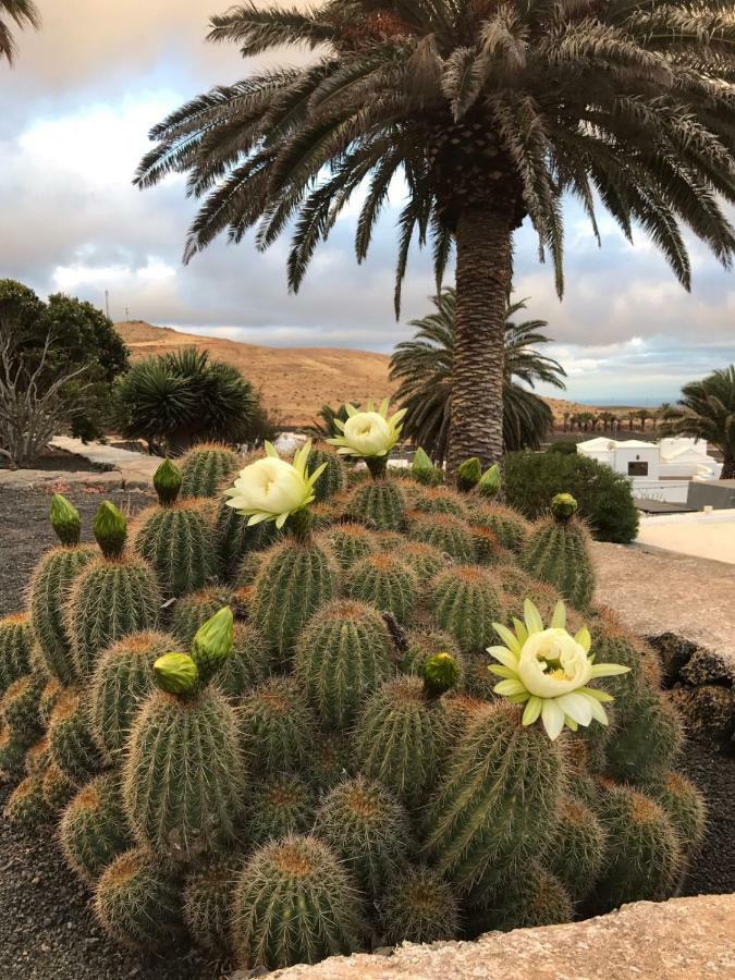 Апартаменти Casa Alegria Los Valles Екстер'єр фото